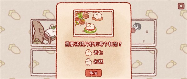 兔兔岛国际服