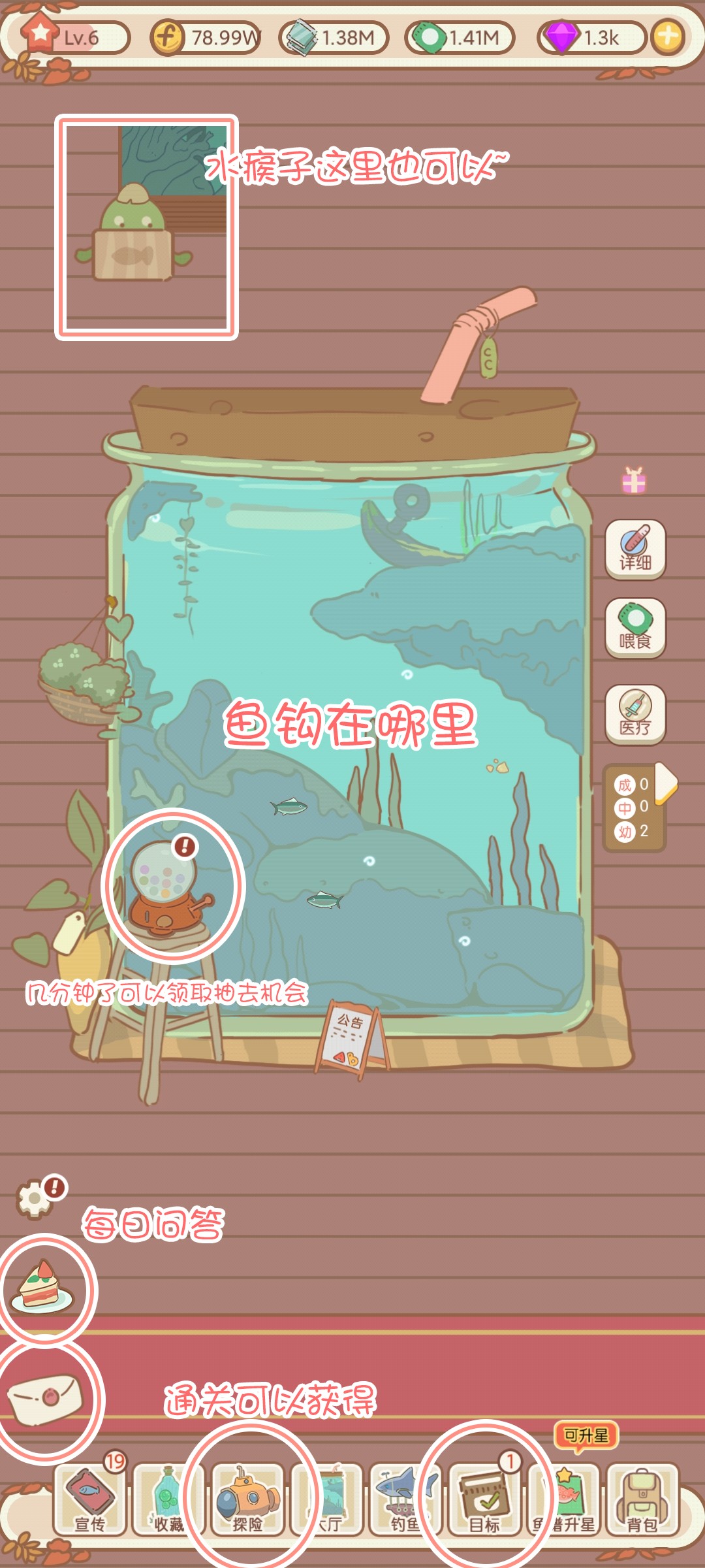 水族物语