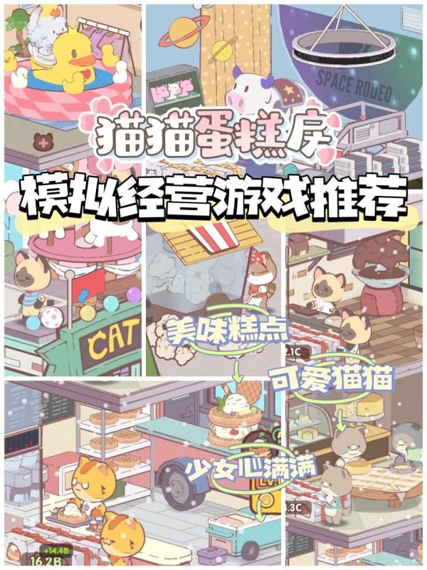 我的猫塔