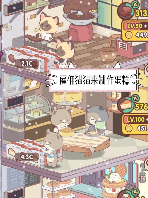 我的猫塔