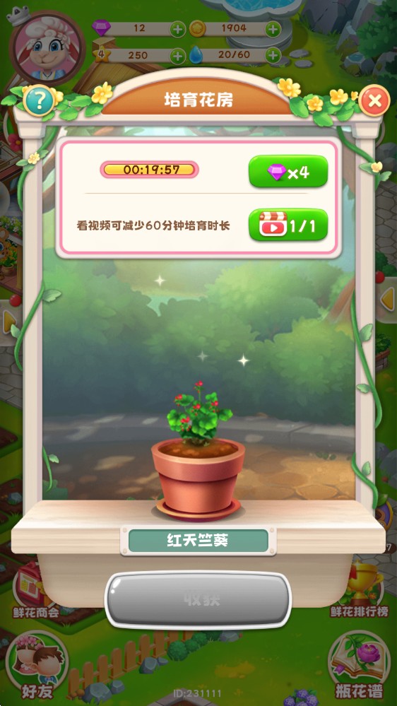 动物花店