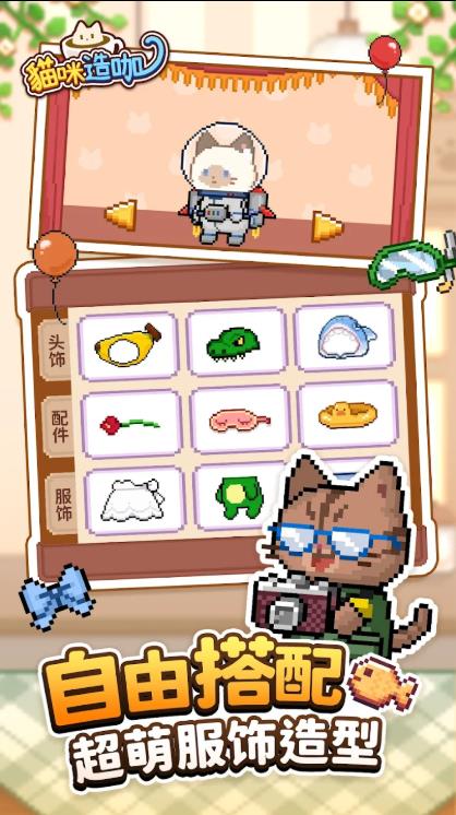 猫咪造咖