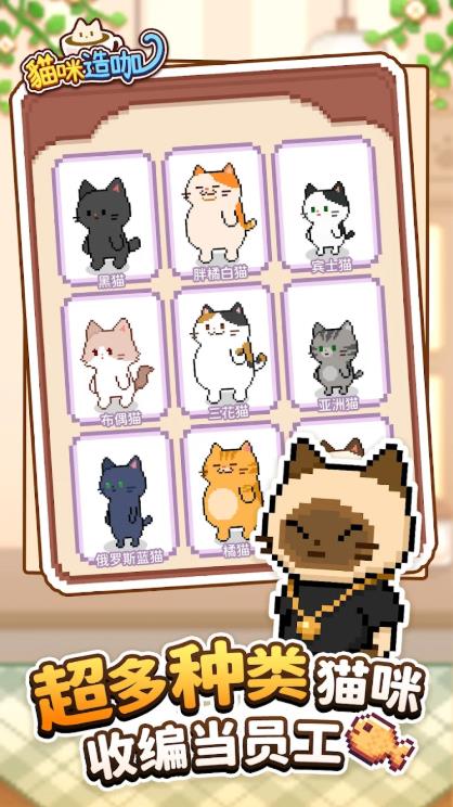 猫咪造咖
