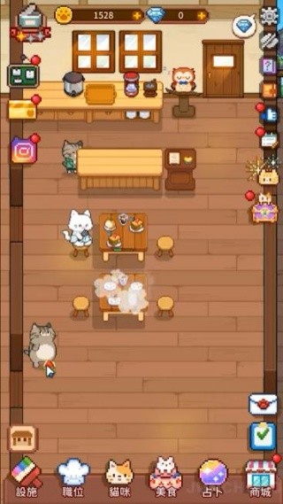 猫咪造咖