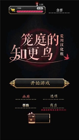 笼庭的知更鸟