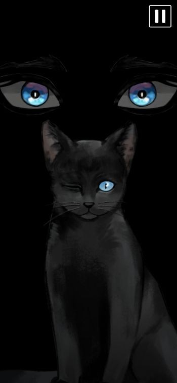 黑猫厄舍的遗产
