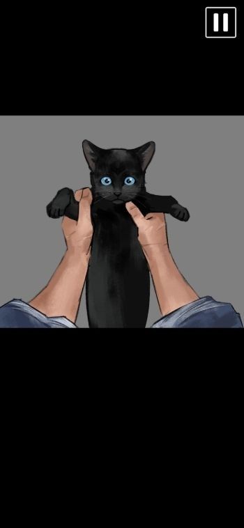 黑猫厄舍的遗产