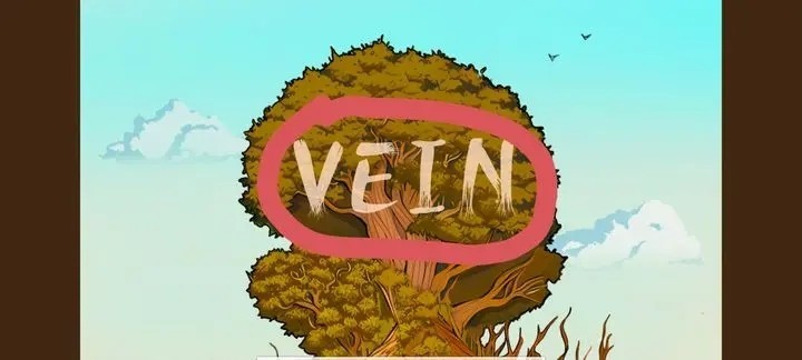 Vein