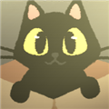 别带这只猫回家