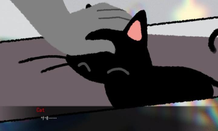 别带这只猫回家
