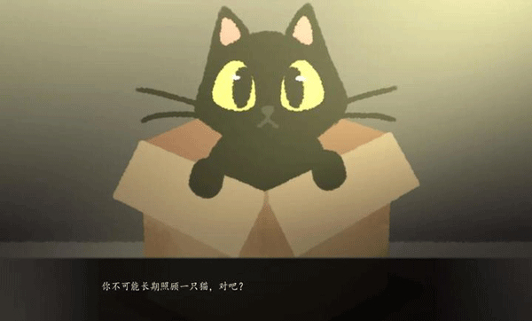 别带这只猫回家中文版