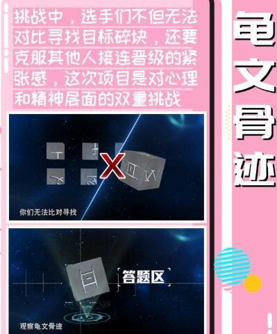 最强大脑龟文骨迹游戏规则版全关卡玩法版
