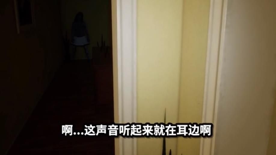 纸鱼解说失踪的室友游戏版