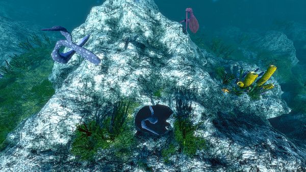 海洋生态模拟器中文最新版