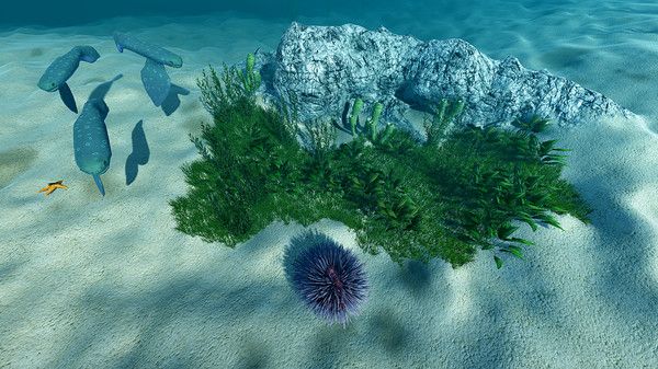 海洋生态模拟器中文最新版
