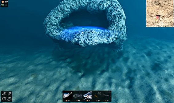 海洋生态模拟器中文最新版