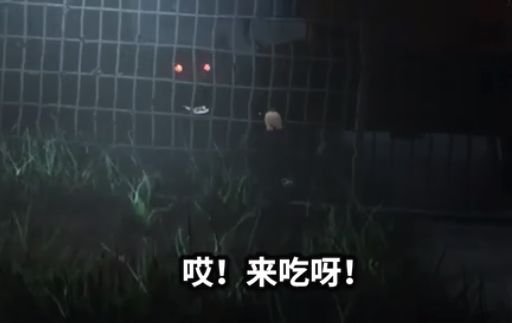 纸鱼解说远离游戏手机版