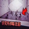 堕落的基金会手机版-纸鱼解说堕落的基金会中文游戏手机版v1.0（暂未上线）