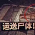 纸鱼解说坟墓里的真实事件游戏中文版
