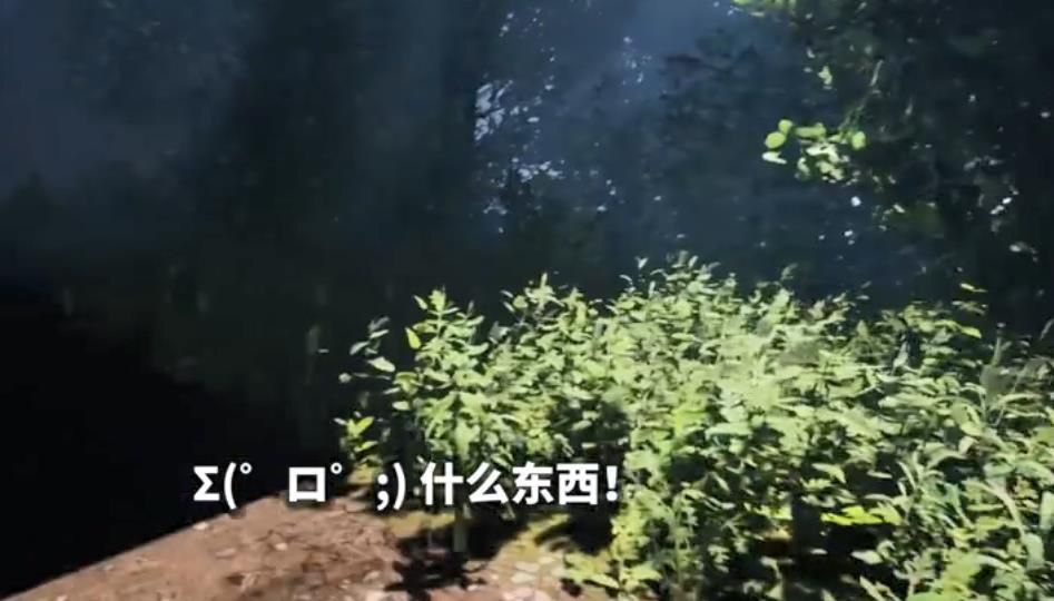 纸鱼解说scp860手机版游戏