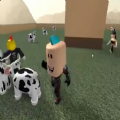 小熙解说Roblox荒谬的电梯游戏中文手机版
