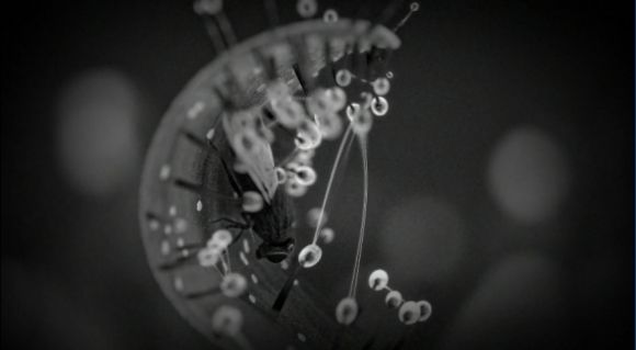 白色情人节2谎言之花中文手机完整版