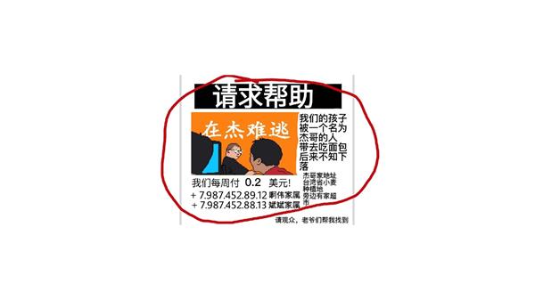 小猪佩奇的午夜后宫杰哥版手机版中文版