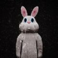 逃脱游戏兔子房间游戏中文手机版（RABBIT ROOM）