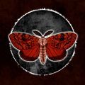 蛾湖诡谜游戏中文手机版（Moth Lake）