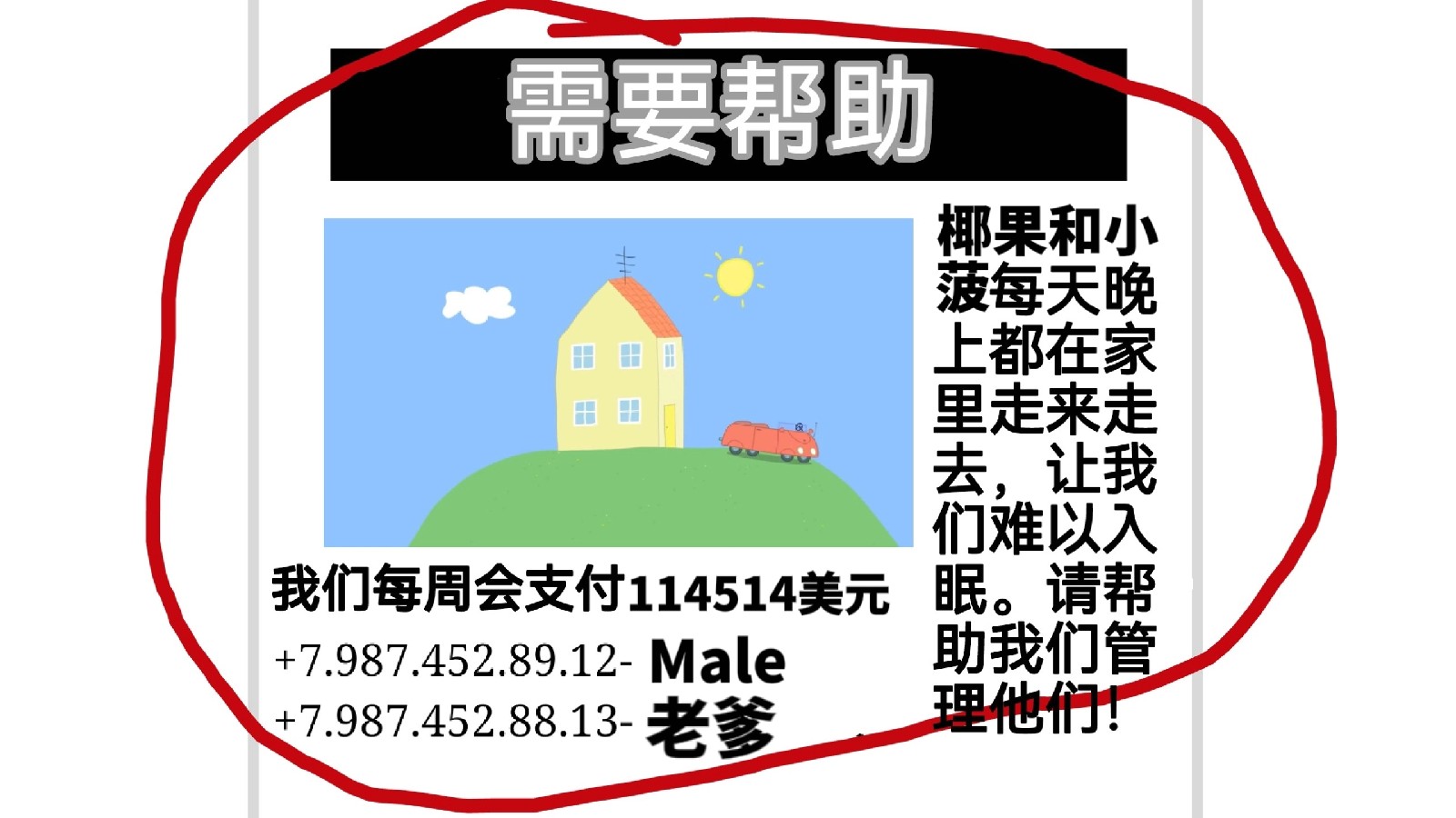 小菠的午夜后宫游戏中文手机版