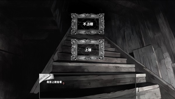 啮齿动物no44观察记录中文版