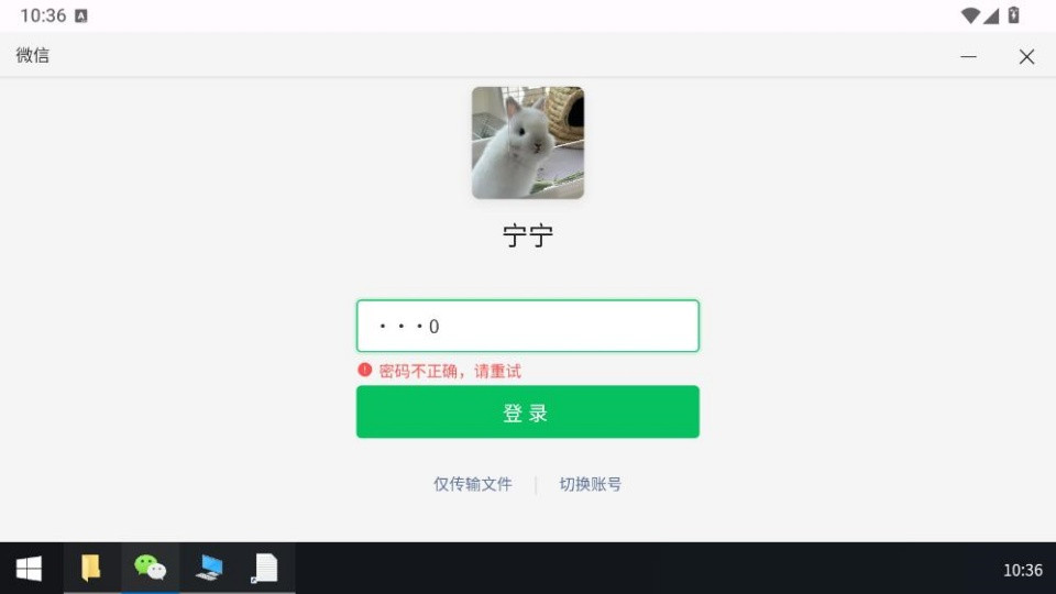 魔法兔子