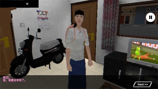 皮卡布停