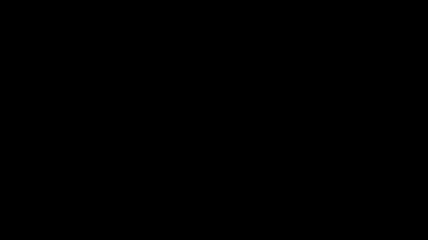 沉船遗礼