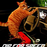 猫司机