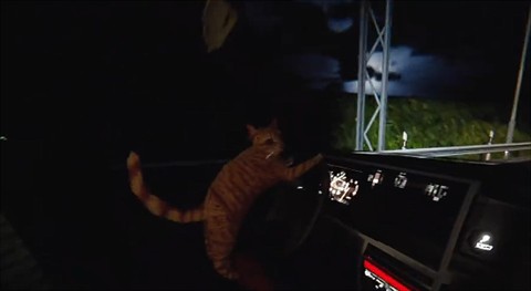 猫司机