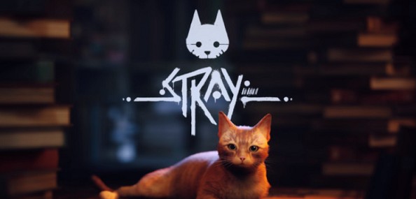 Stray迷失