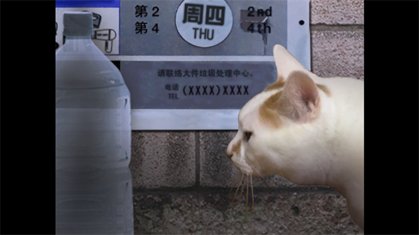翌日猫之怪奇谭手机版
