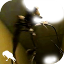 暗房