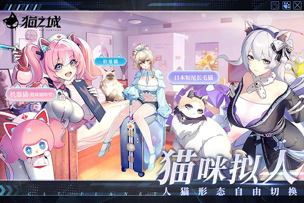 猫之城中文版