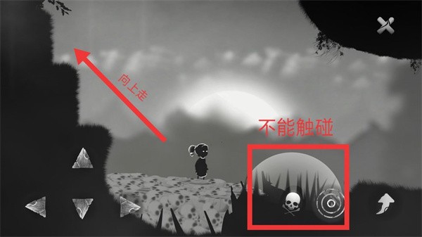 生与死