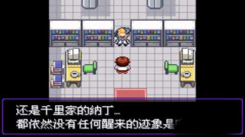 神奇宝贝漆黑的魅影