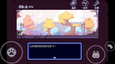 对人类过敏的猫