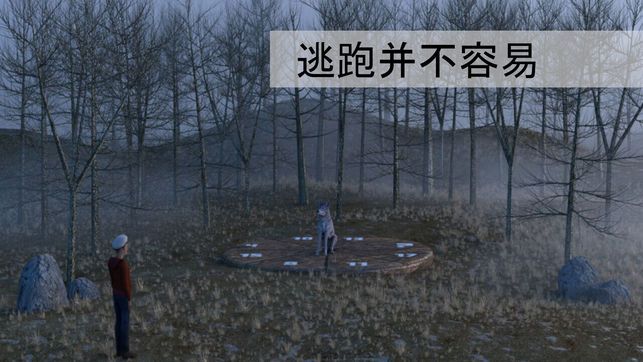 迷失森林全剧情攻略完整手机版