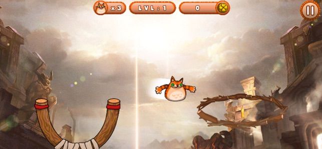 愤怒的多钩猫