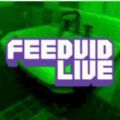 FEEDVID恐怖游戏中文版