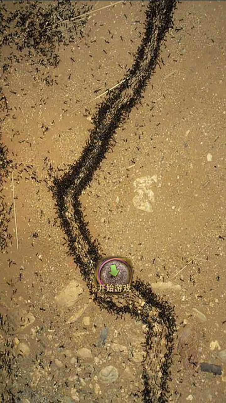 地下蚁国蚁族崛起游戏