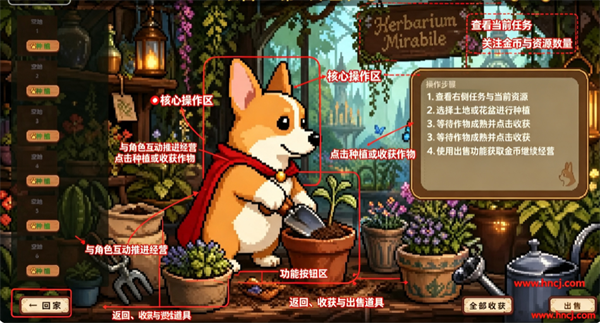柯基塔