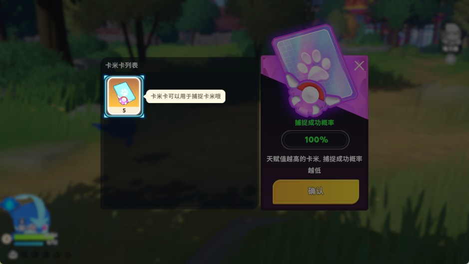 卡米的旅途国际服