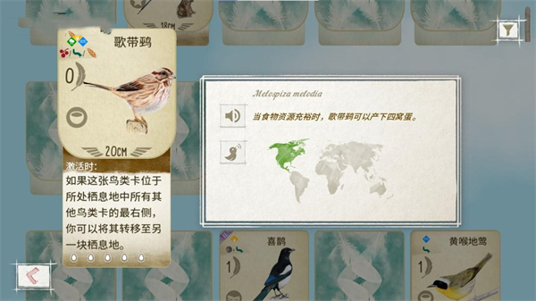 展翅翱翔